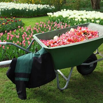 Schubkarre im Garten