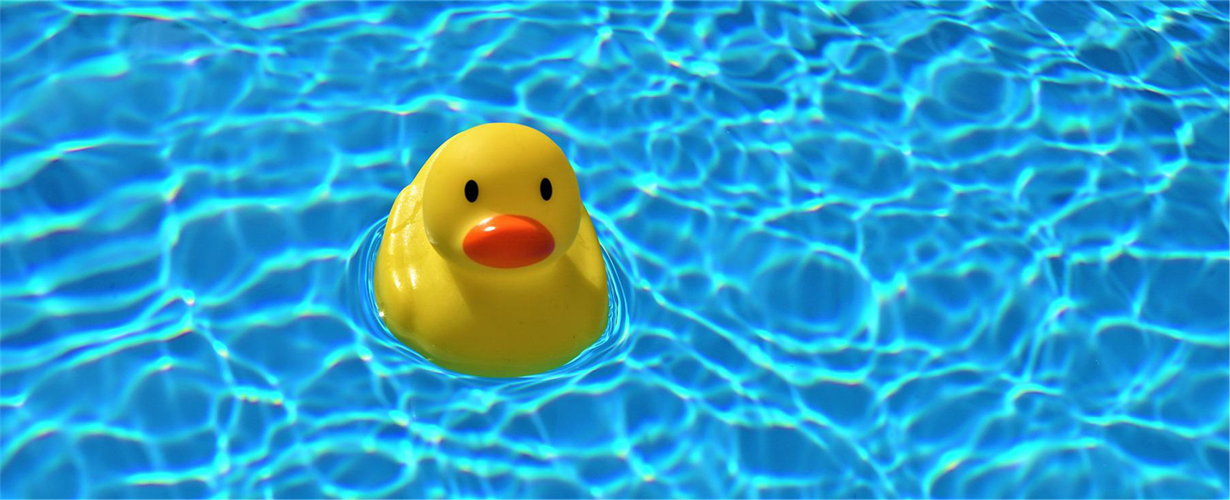 Slider_Sortiment_Pools