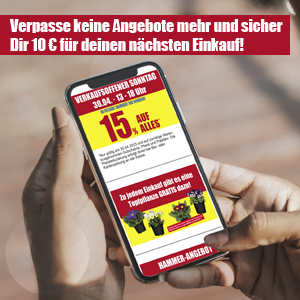 Newsletter_300x300